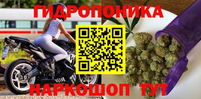 спайс Обь